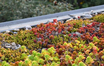 the cost of Gislingham green roof installation