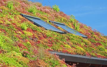 Gislingham living roof systems